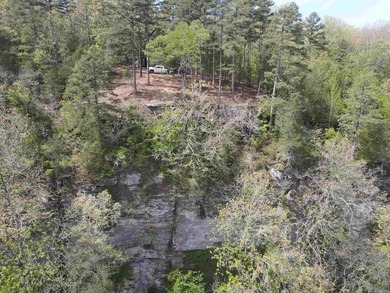 Discover 9.5 acres +/- of scenic recreational timberland with - photo 2