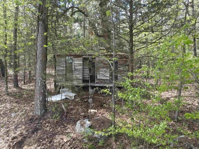 Discover 9.5 acres +/- of scenic recreational timberland with - photo 4