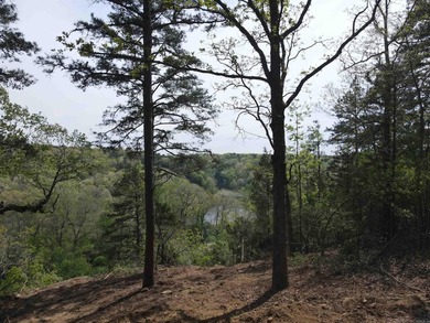 Discover 9.5 acres +/- of scenic recreational timberland with - photo 5