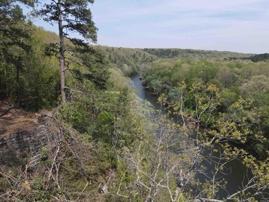 Discover 9.5 acres +/- of scenic recreational timberland with - photo 6