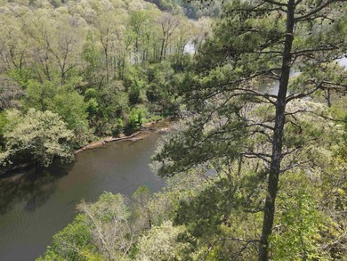Discover 9.5 acres +/- of scenic recreational timberland with - photo 7