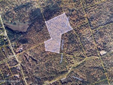 Looking for the perfect place to live off the grid or just a - Lake Acreage For Sale in Providence, New York