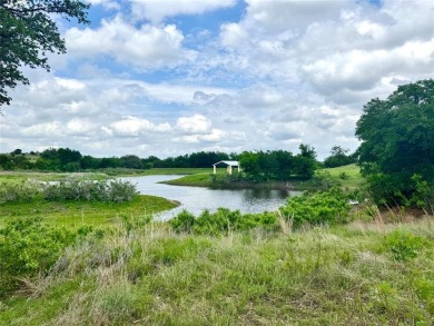 Lake Acreage For Sale in Glen Rose, Texas