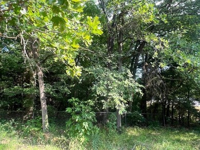 Lake Lot For Sale in Quinlan, Texas