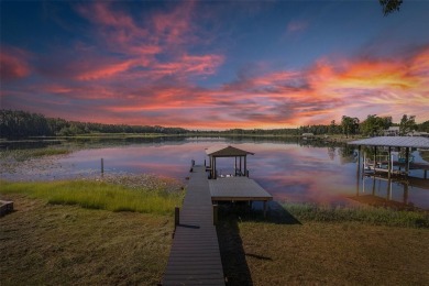 Lake Home For Sale in Lutz, Florida