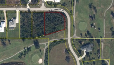 Peace River Lot Sale Pending in Arcadia Florida