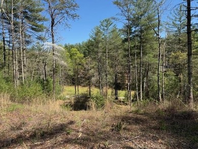 Lake Hiwassee Lot For Sale in Murphy North Carolina