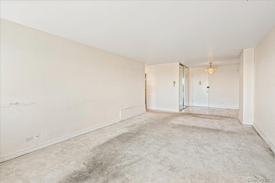 Experience elegant living in this one-bedroom mid-size at the - photo 11