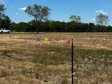 Waterfront Club, Lot 76, Navarro County ! Discover this - photo 2