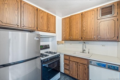 Experience elegant living in this one-bedroom mid-size at the - photo 13