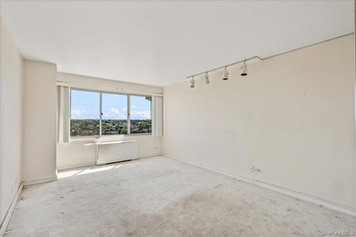 Experience elegant living in this one-bedroom mid-size at the - photo 15