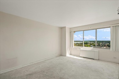 Experience elegant living in this one-bedroom mid-size at the - photo 16