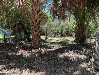 This oversized lot (12,314 SF) is more than 1 1/2 times the size - photo 2