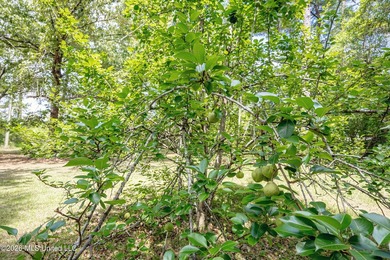 Nestled in the desirable Latimer community, this well-maintained - photo 48