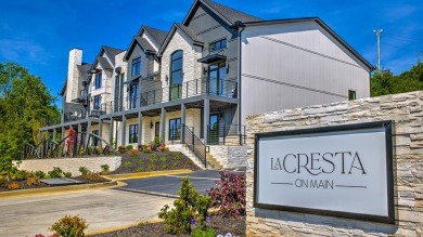 Lake Blue Ridge Condo For Sale in Blue Ridge Georgia