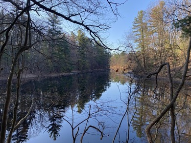 Mill Pond Lake - Muskegon County Lot Active Under Contract in Whitehall Michigan