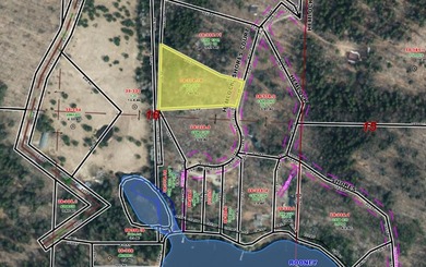 Rooney Lake Acreage For Sale in Athelstane Wisconsin