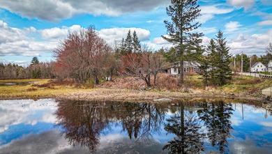 (private lake, pond, creek) Home For Sale in Charleston Maine