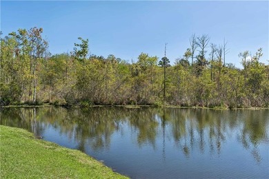 Welcome to one of Camden County's most extraordinary private - photo 51
