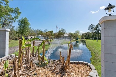 Welcome to one of Camden County's most extraordinary private - photo 53