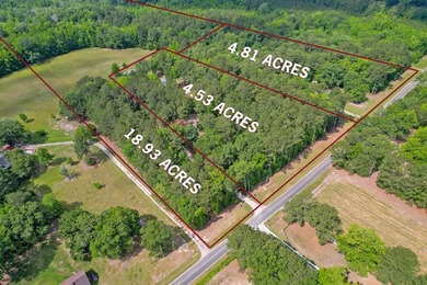 28.27 acres in Summerville! Set on 28.27 acres across three - photo 1