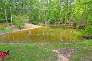 28.27 acres in Summerville! Set on 28.27 acres across three - photo 4