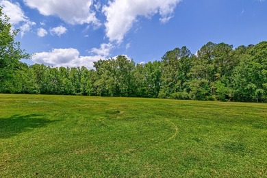 28.27 acres in Summerville! Set on 28.27 acres across three - photo 5