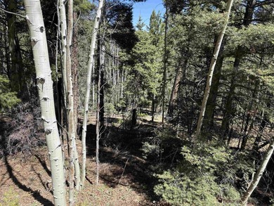 Monte Verde Lake Lot For Sale in Angel Fire New Mexico