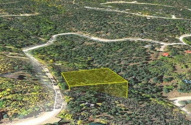 Large wooded lot with good potential building sites. Steep - photo 2