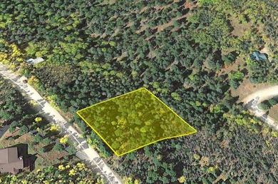 Large wooded lot with good potential building sites. Steep - photo 3