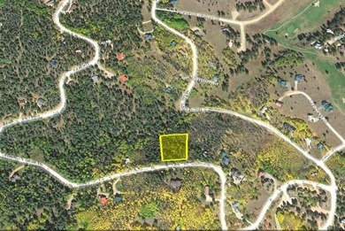 Large wooded lot with good potential building sites. Steep - photo 4