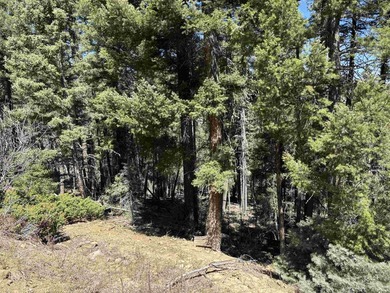 Large wooded lot with good potential building sites. Steep - photo 6