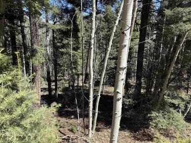 Large wooded lot with good potential building sites. Steep - photo 7