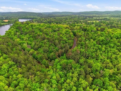 2 acres. Lake views. Ready for your vision. Build your dream - photo 4