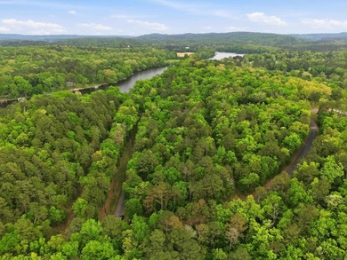2 acres. Lake views. Ready for your vision. Build your dream - photo 5