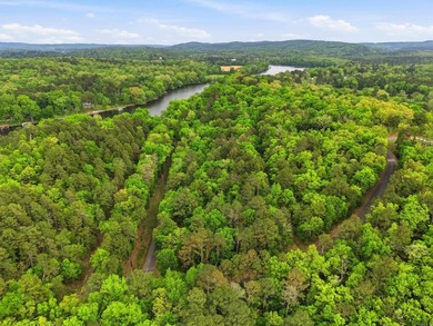 2 acres. Lake views. Ready for your vision. Build your dream - photo 6