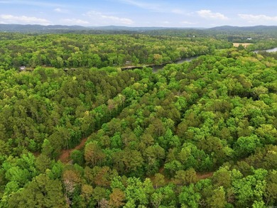 2 acres. Lake views. Ready for your vision. Build your dream - photo 7