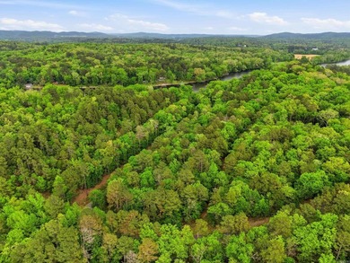 2 acres. Lake views. Ready for your vision. Build your dream - photo 8