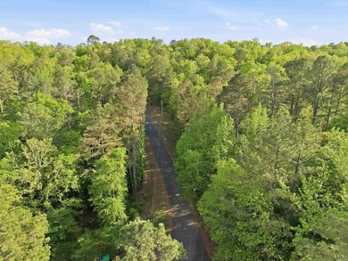 2 acres. Lake views. Ready for your vision. Build your dream - photo 9