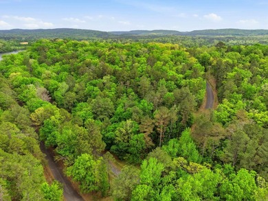 2 acres. Lake views. Ready for your vision. Build your dream - photo 10