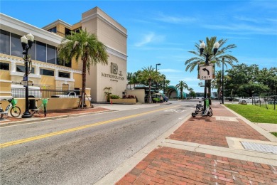 Experience Elevated Lakeview Living in the Heart of Downtown - photo 4