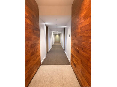Welcome to Luxury Condo (not a co-op) 1D at 21-45 44th Drive - a - photo 11