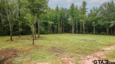 Lake Lot For Sale in Frankston, Texas