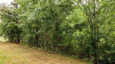 Lake Palestine Lot For Sale in Frankston Texas