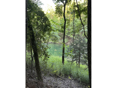 5.77 acres on Beaver Lakefrontage - photo 11