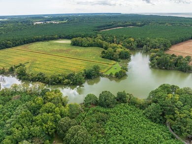 The views from this property are simply STUNNING. If you've been - photo 50