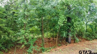 Looking for a serene and stunning location to build your dream - photo 2
