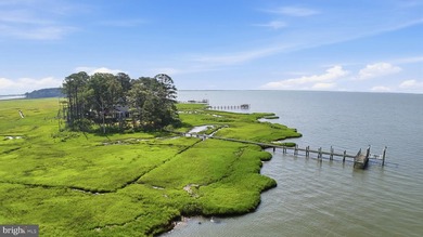 Experience the best of coastal Delaware living at this - photo 10