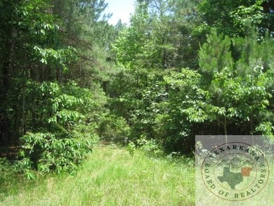 Would be a good homeplace, quiet and secluded. Or a good timber - Lake Acreage Sale Pending in Queen City, Texas