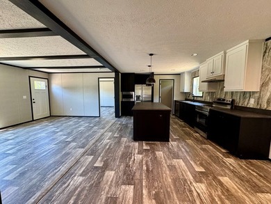 Introducing the brand-new 2026 *Black Diamond* model mobile home - photo 12